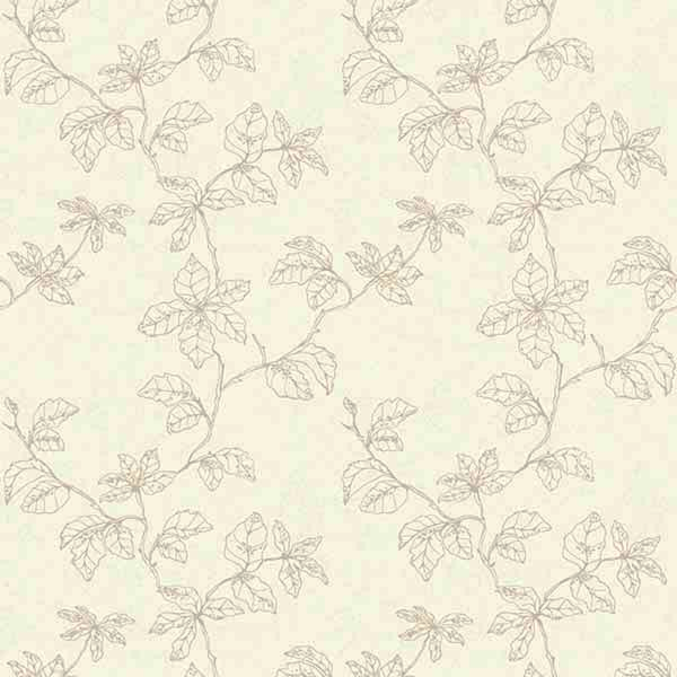 Shadow of Branches 490206