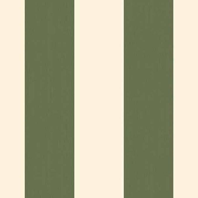 Architect Stripes #1 580115