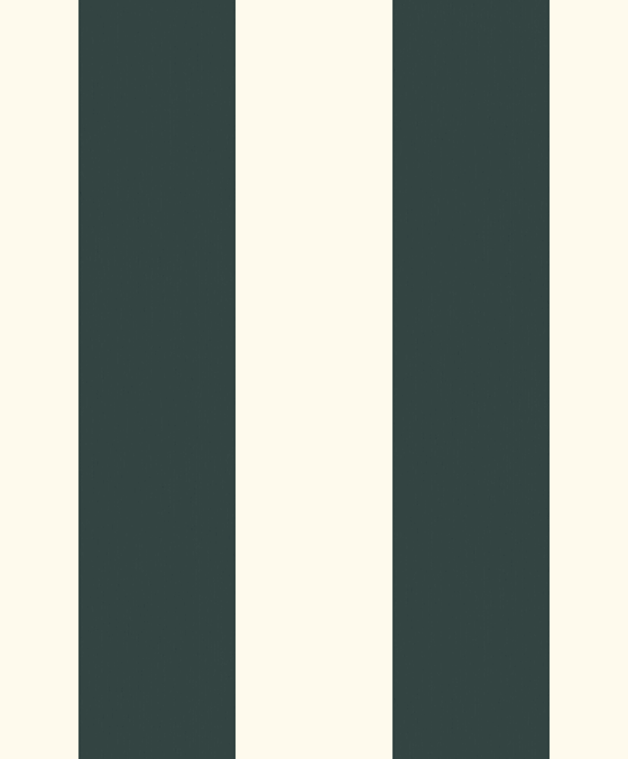 Architect Stripes #1 580118