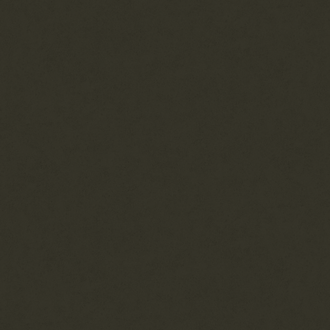 Fiona Concrete Experience 630424