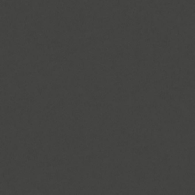 Fiona Concrete Experience 630428